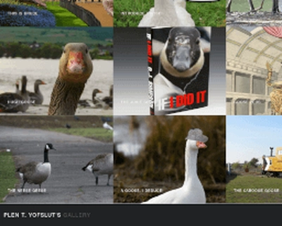 Image of The Geese Webpage website
