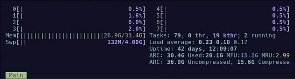 htop display with ZFS ARC showing